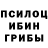 Галлюциногенные грибы MAGIC MUSHROOMS Darya Igorevna