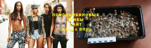 трава Нязепетровск