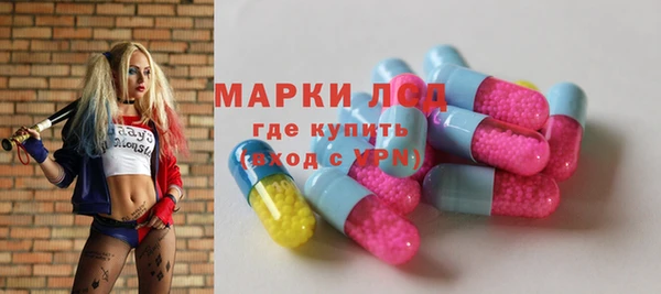 сатива Няндома