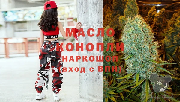 сатива Няндома