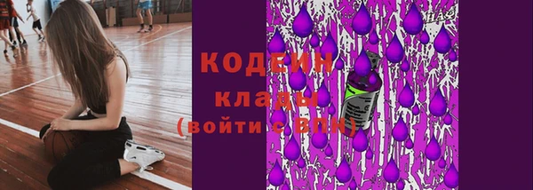 сатива Няндома