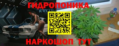 ешки Гагарин