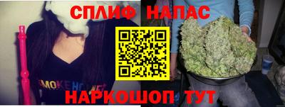 ешки Гагарин
